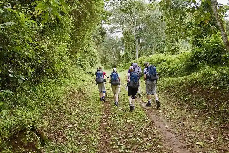 Kilimanjaro Day Hike Marangu or Machame Tanzania