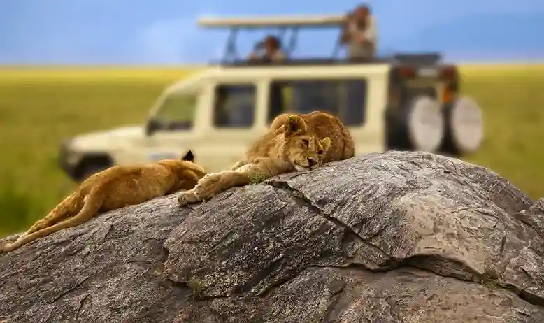 SafariEase Africa safari jeep near Moshi Tanzania