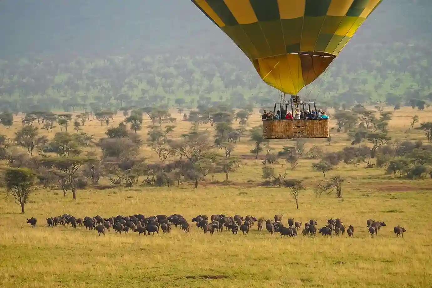 8 Days Luxury Tanzania Safari